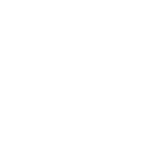 Ícone 4
